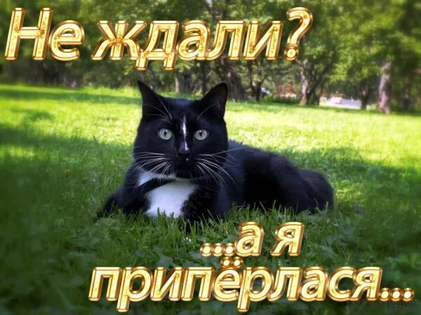 А я в вас