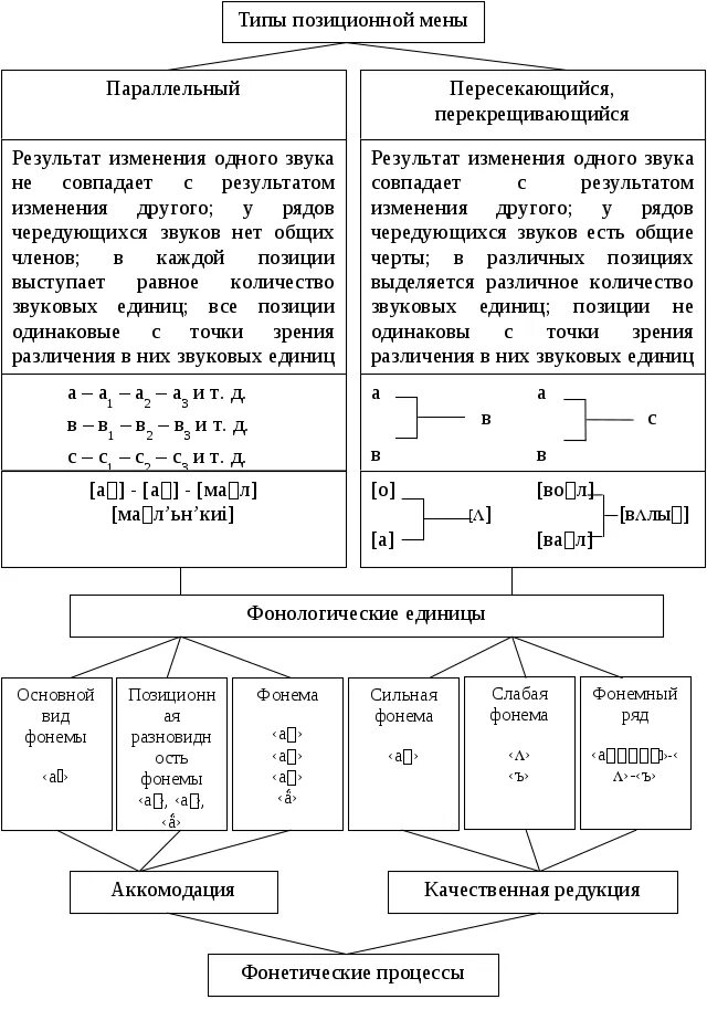 Гласные фонемы русского языка таблица. Позиции гласных звуков таблица. Позиционные изменения гласных таблица. Позиционные чередования гласных фонем.