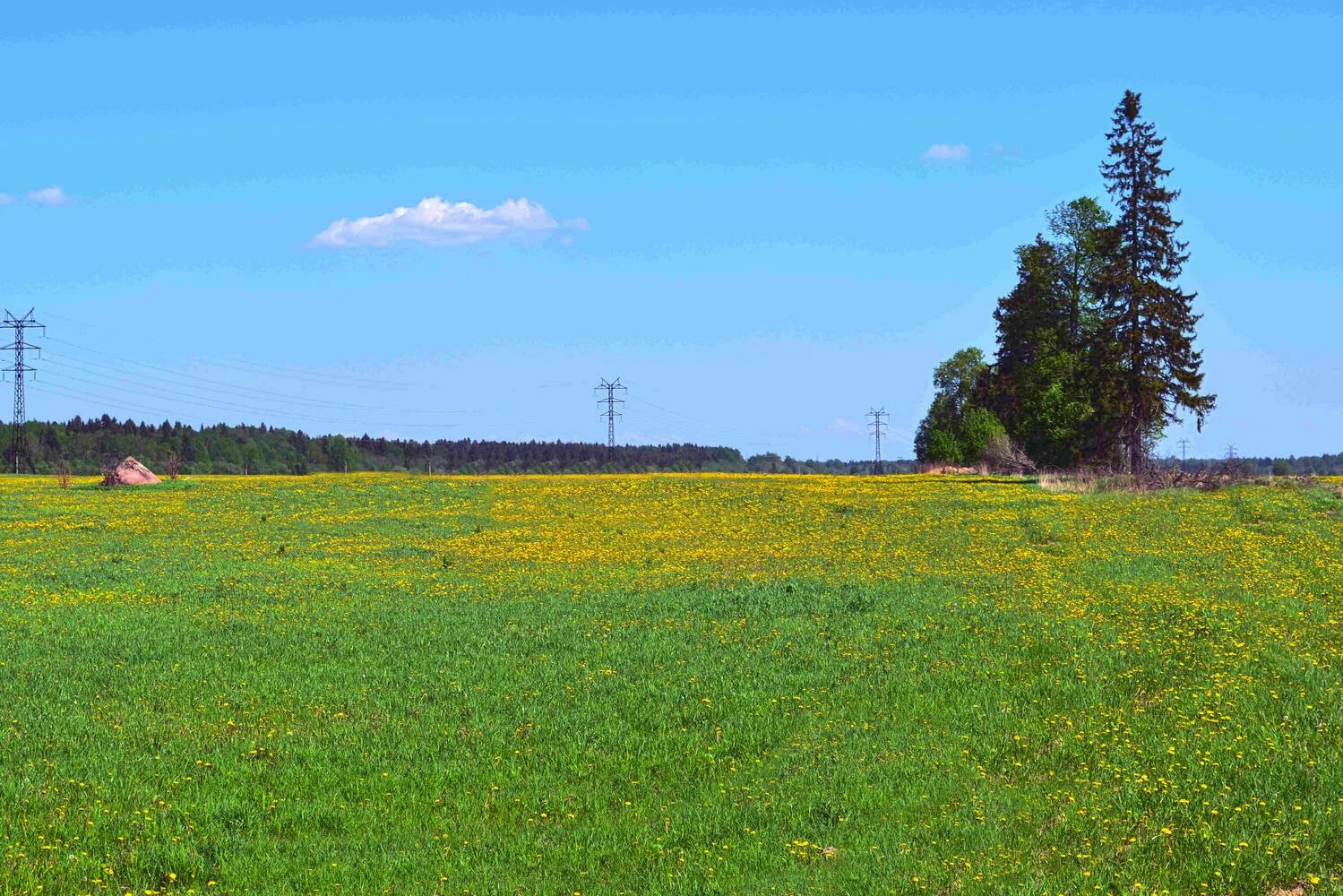 Станица махошевская краснодарский край. Лесная поляна (полянка) 1897. Московская область, серпухов, ул. 18 полян. Орловская опушка леса.