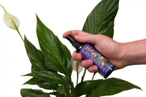 подкормка комнатных растений. удобрение forte для спатифиллума. удобрение бона форте для антуриума. подкормка для цветов. удобрение агрикола для антуриума.