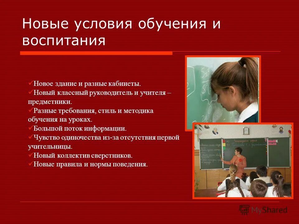 Разные требования. Интересный материал для учеников 5 класса. Уроки в 5 классе. Качества характера ученика к 5 классу кратко. Возраст учащихся 5 класса