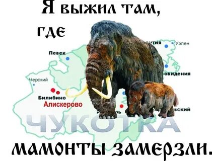Выжил там где мамонты
