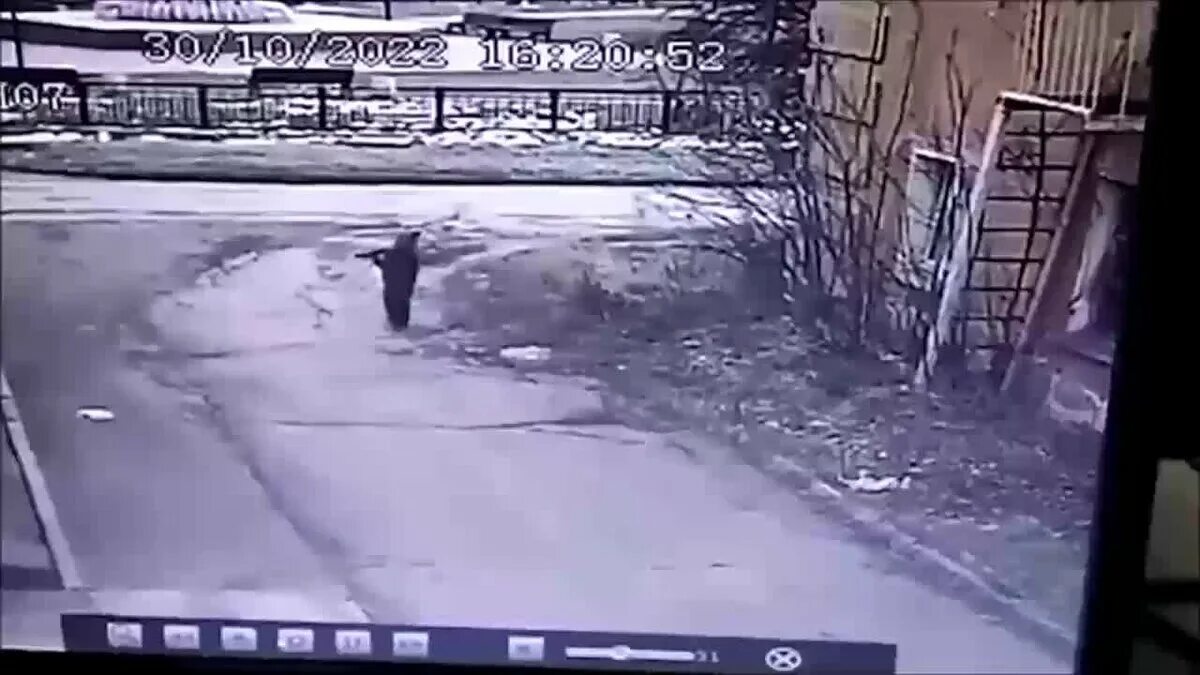 Машина переехала мальчика в южноуральске. Ребенок которого переехала машина. Пасито2 который переехала машина. Депутат переехал ребенка и уехал. Депутат мамонтов татарск.