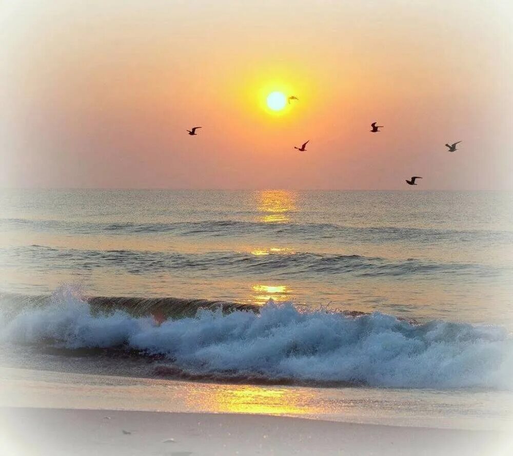 Море утром. Рассвет на море. Утро на море. Солнце над морем.