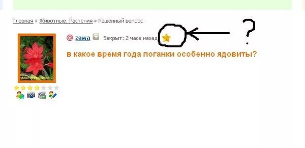 Что значат звездочки. Что значат значки в вк. Мамба что означают значки. Пользователь добавил вас в избранное мамба. Что обозначает звездочка.