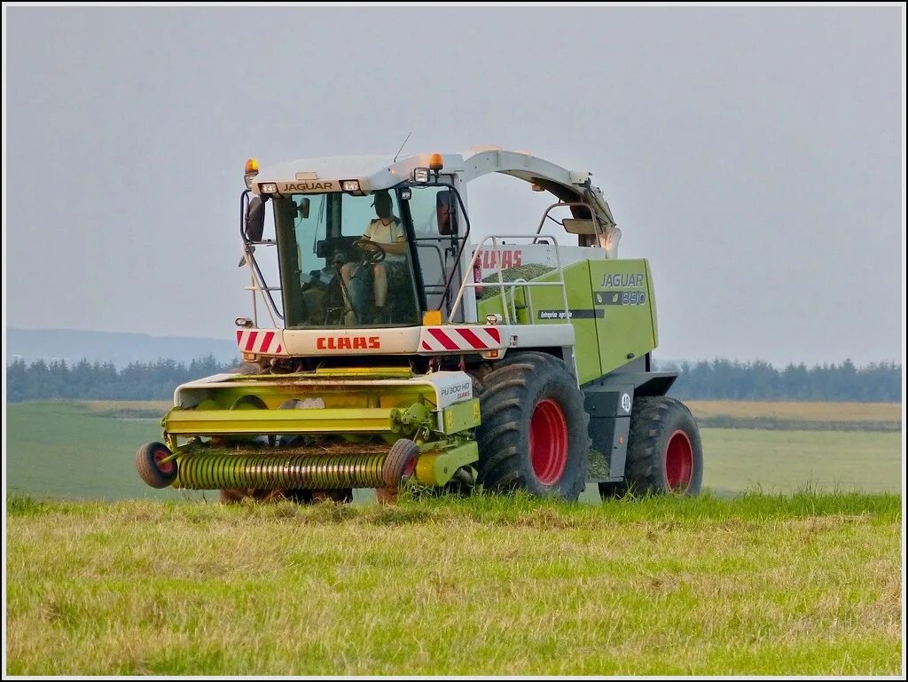 Комбайн Ягуар 890. Комбайн Клаас Ягуар. Кормоуборочный комбайн Ягуар 780. Ягуар комбайн кормоуборочный уборка кукурузы. Сена комбайн