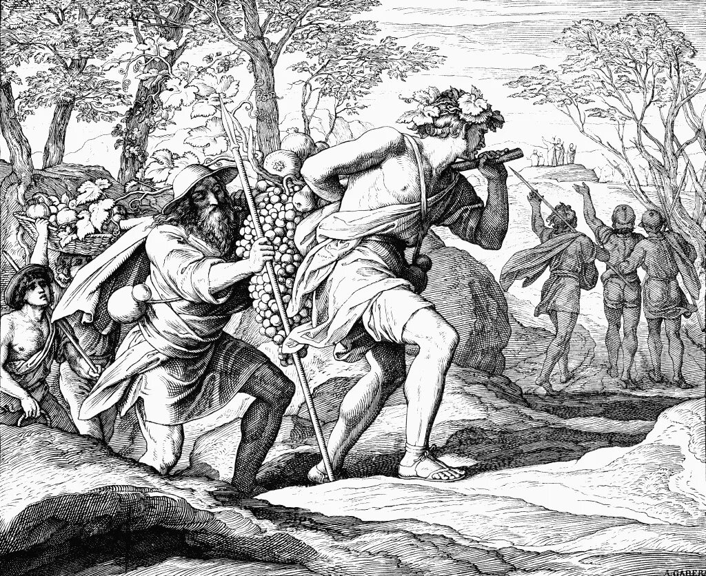 ветхий завет глава 13. юлиус шнорр фон карольсфельд давид. царь давид юлиус фон карольсфельд. юлиус карольсфельд гравюры. ветхий завет глава 13.