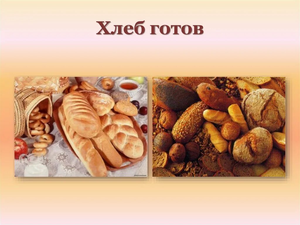 откуда к нам хлеб пришел. тема занятия откуда хлеб пришел. выращивание хлеба. откуда появился хлеб. откуда хлеб.