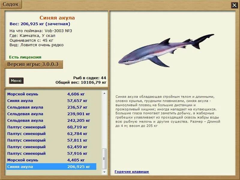 Акула русская рыбалка. Квест акулы в рр 3.99. Голубая акула сколько весит. Русквяакуларускаяакула. Голубые, акулы вес.