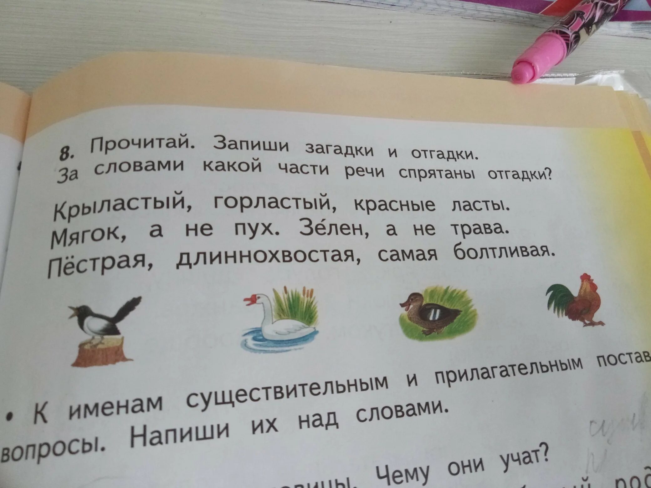 Загадка крылатый горластый красные ласты. Загадки и отгадки. Загадки отгадывать загадки. Прочитай загадку. Прочитай загадку запиши отгадку.