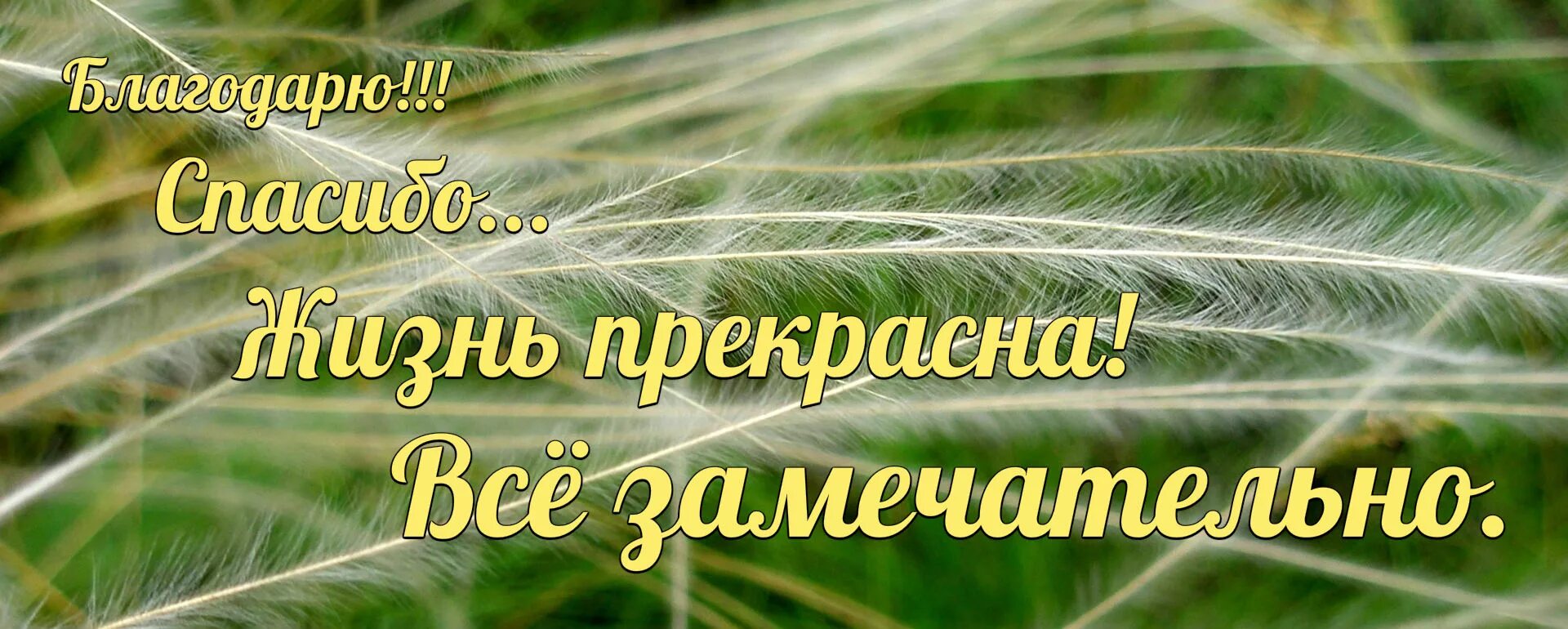 Благодарность дню аффирмации. Волшебная сила благодарности. Благодарю вселенную. Благодарность высшим силам Вселенной. Спасибо Вселенной за жизнь.