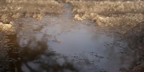 Погода на март саратовская область