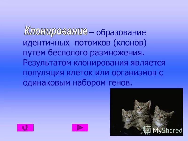 Клонированием не является. Клонирование организмов. Метод clone java глубокое клонирование. Клонирование растений и животных. Клонировнаи емлекопитающих.