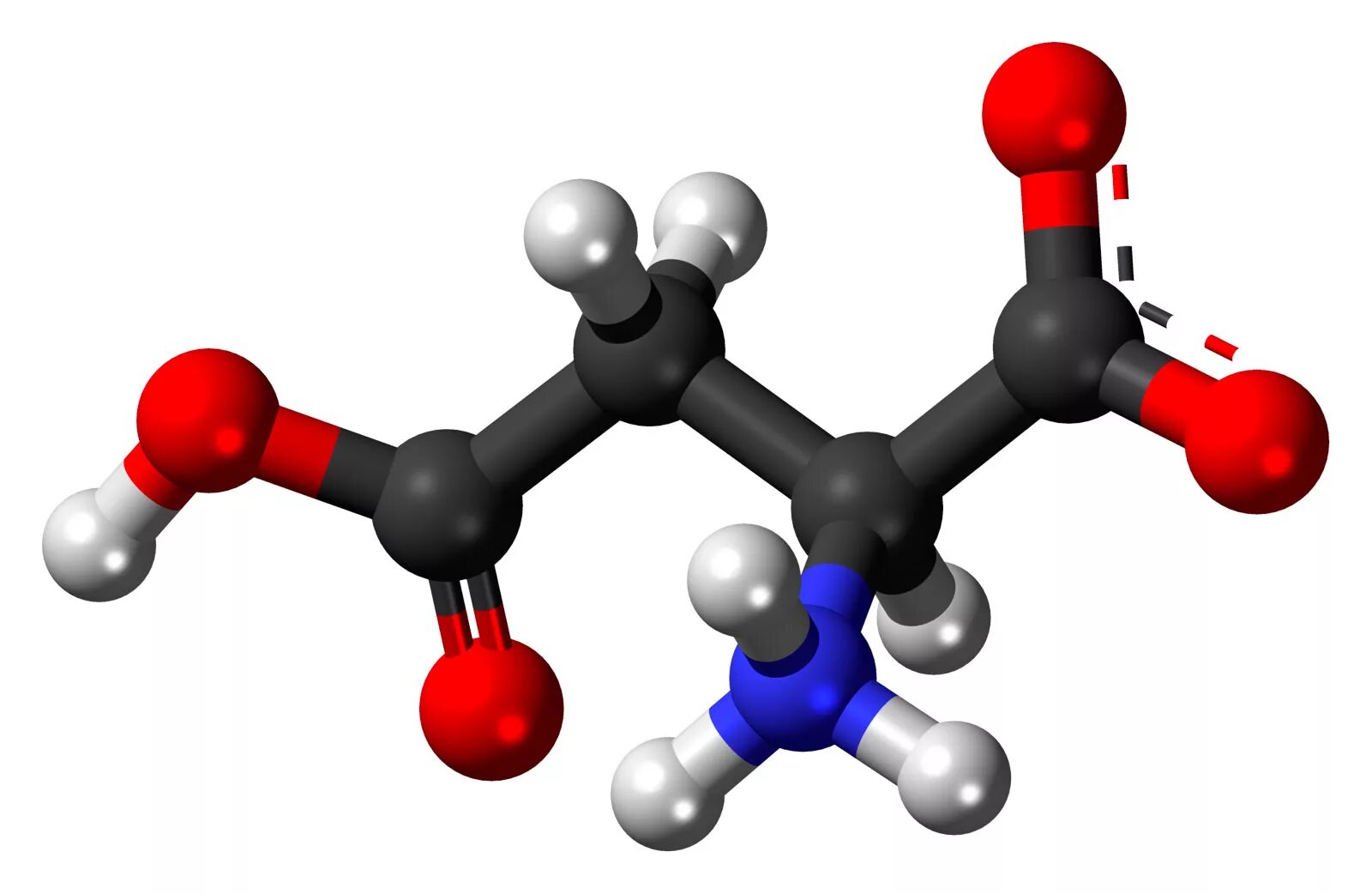 Химические элементы аминокислот. Аспарагиновая кислота молекула. Аспарагиновая кислота молекулярная формула. Химическая формула аминокислоты. Химическая формула молекулы аминокислоты.