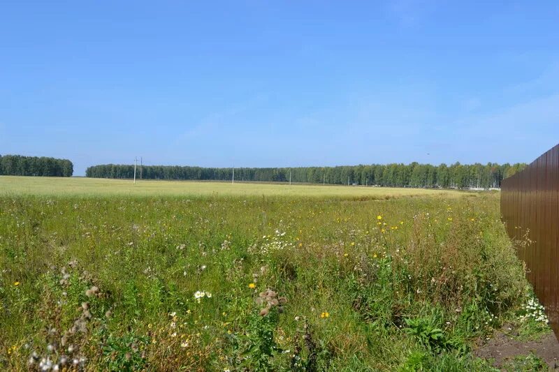 новый исток