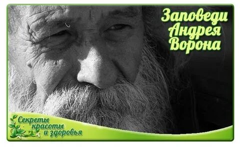 Старца андрея ворона