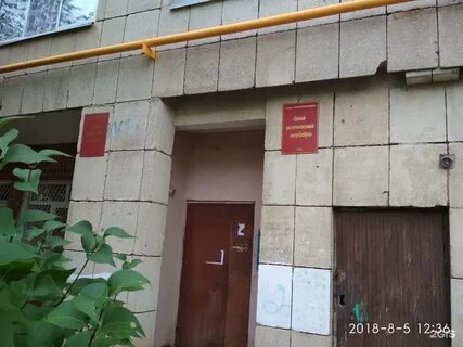 Мфц елабуга телефон