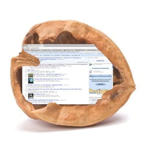 Nutshell перевод. To put it in a nutshell. put it in a nutshell фото. reddit in nutshell.