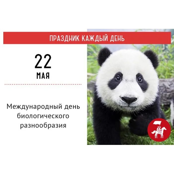 Международный день биологического разнообразия 22 мая сообщение. Международный день биоразнообразия. международный день биологического разнообразия. 22 мая день день биологического разнообразия. международный день биологического разнообразия 22 май.