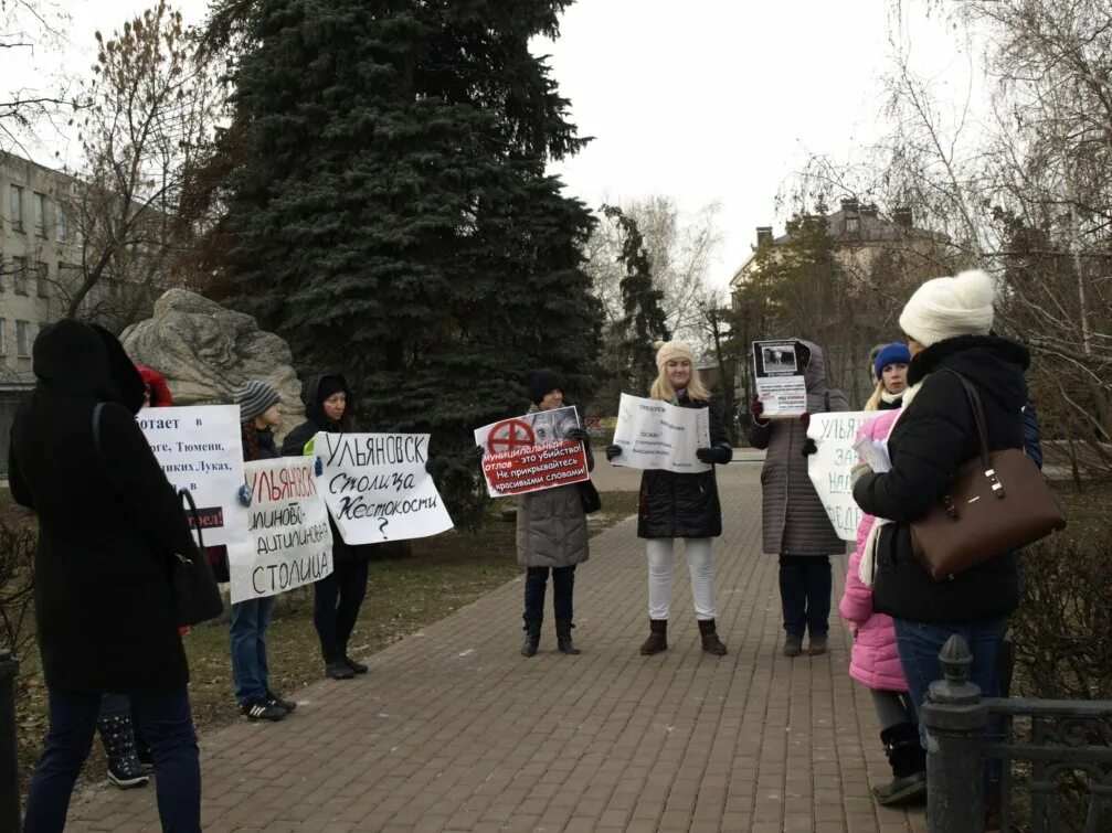 Площадь волонтеров. Зарядка на улице липецк. Акция георгиевская лента. Городская культура. Волонтеры победы приволжского района самарской области.