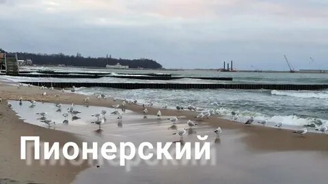 Камера пионерский калининградская область