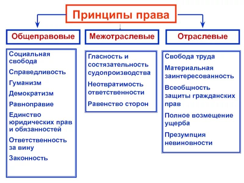 Общие отраслевые принципы. Общие отраслевые принципы