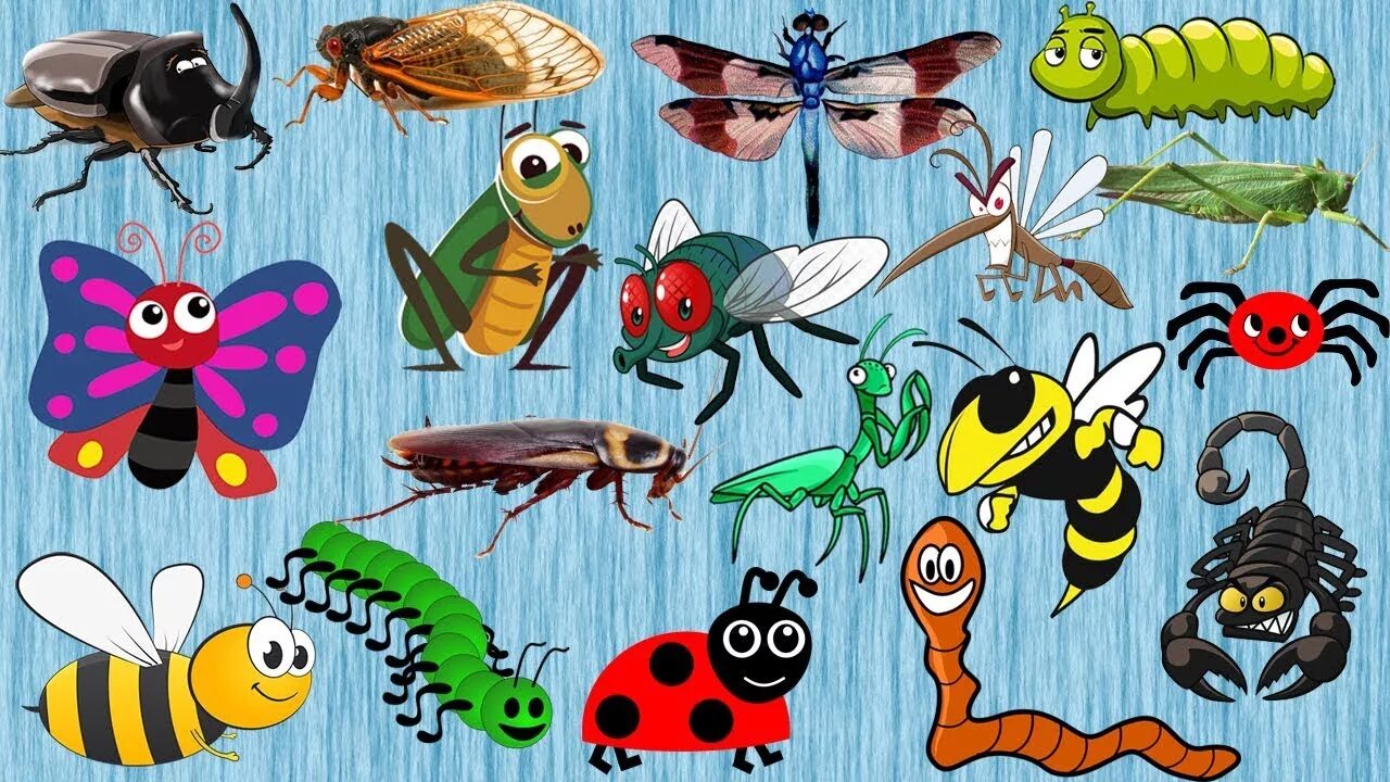 Shadow matching. Insects worksheets. Mom insects. Животные и насекомые на английском. Насекомые.