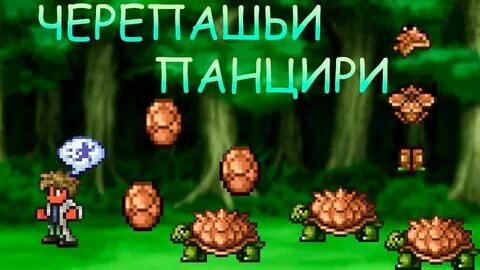 Черепаший панцирь террария