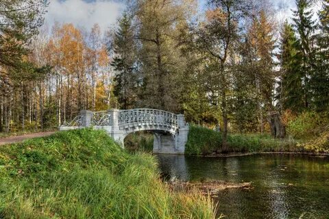 Гатчина севилья