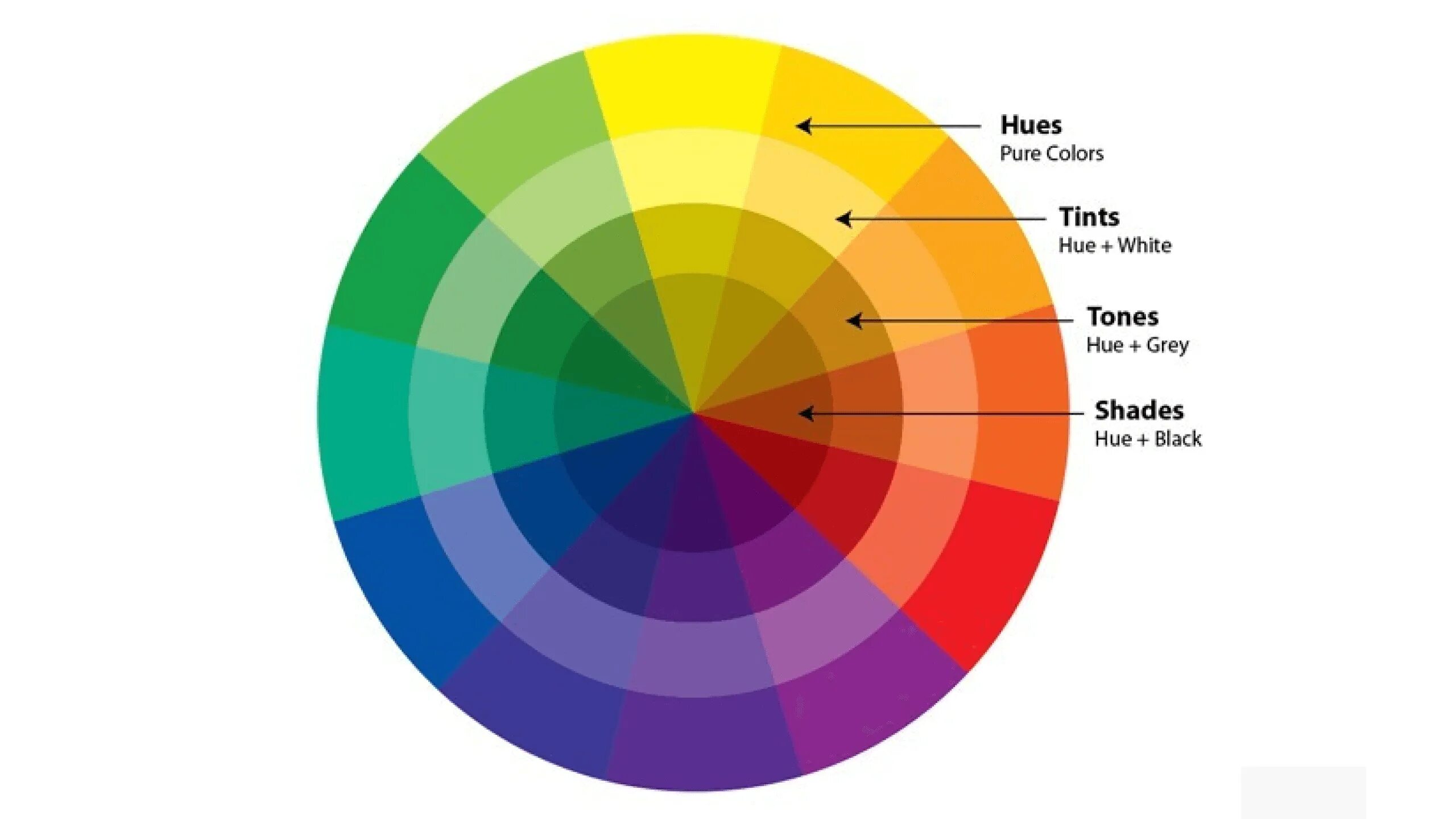 Its colors