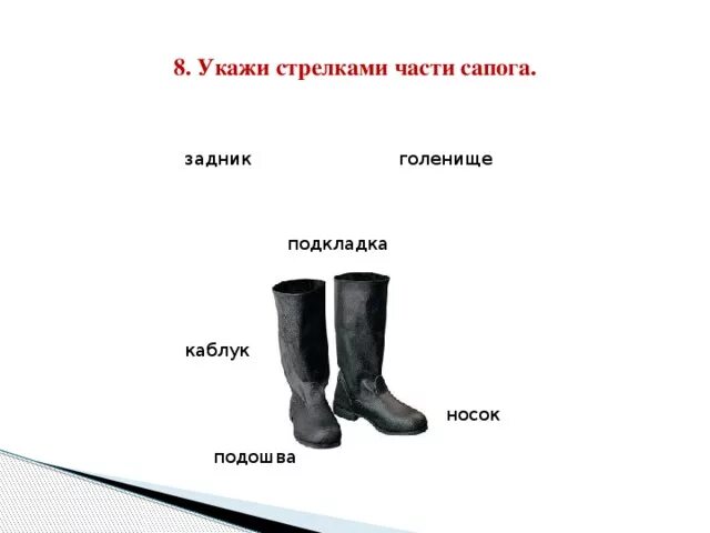 Части сапога для дошкольников. Строение сапога. Части сапога Голенище и. Части сапога названия.