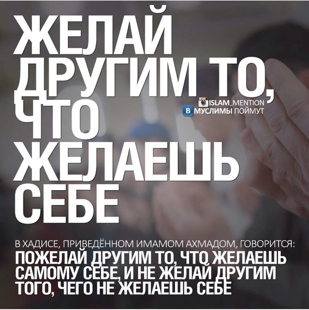 Самый лучший нрав