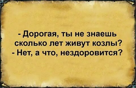 Сколько живут козлы