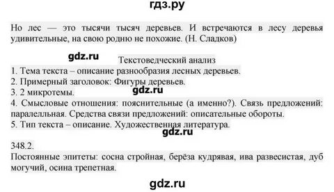 348 упражнение русский язык 6