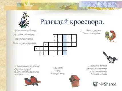Кроссворд птицы