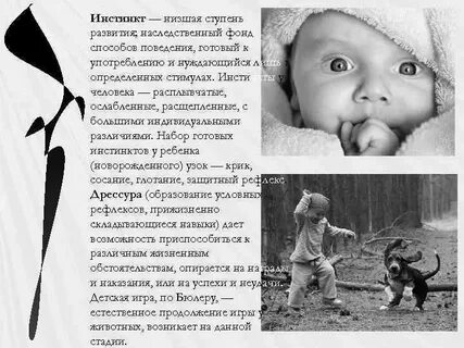 Низшая ступень развития