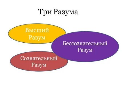 Вопросы высшему разуму