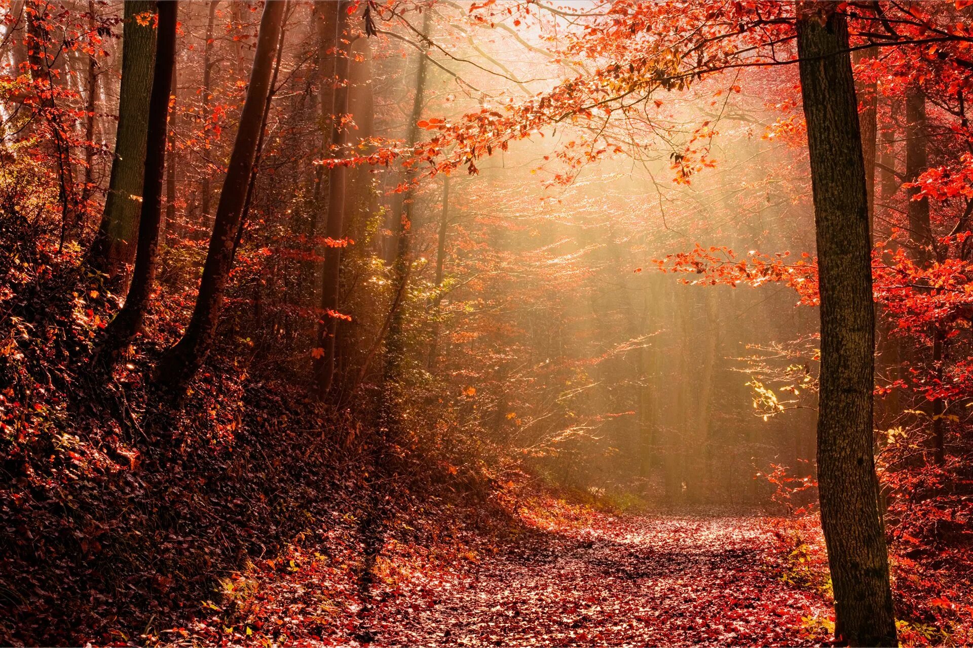 By autumn i