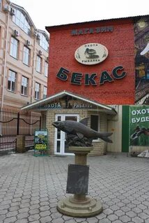 Бекас астрахань каталог