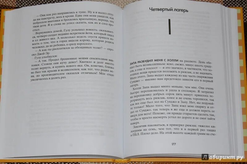 Читать книгу пик. Пик  смит роланд. пик роланд смит читать. роланд смит пик иллюстрации. пик книга.