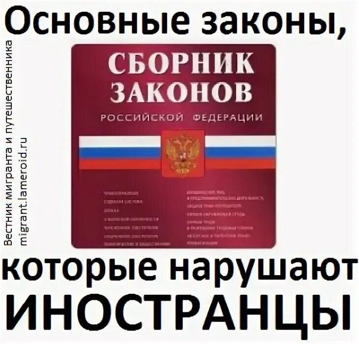 Русский главное. Законы на иностранных в России. Сборник законов. Часто нарушаемые законы РФ. Сборники законов в истории России.