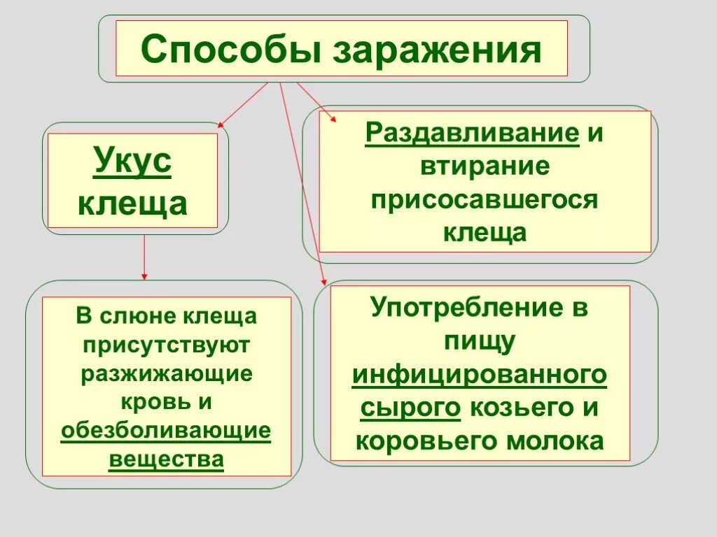 Заражение человека энцефалитом возможно при гигтест ответ. Пути передачи клещевого энцефалита. Энцефалит пути передачи. Энцефалит пути заражения. Пути заражения клещевым энцефалитом.