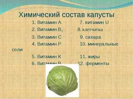 Капуста витамин c