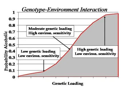 Interaction environment