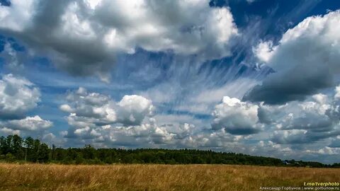 Небосвод курск