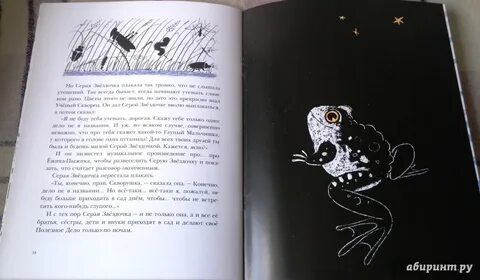 Заходер серая звездочка краткое