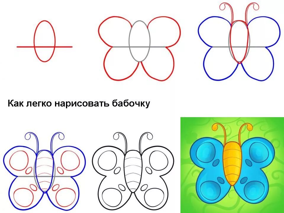 Kak. Как нарисовать бабочку поэтапно. Поэтапное рисование бабочки. Бабочка рисунок поэтапно. Бабочка поэтапное рисование для детей.