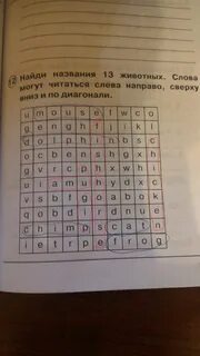 Название 13 животных