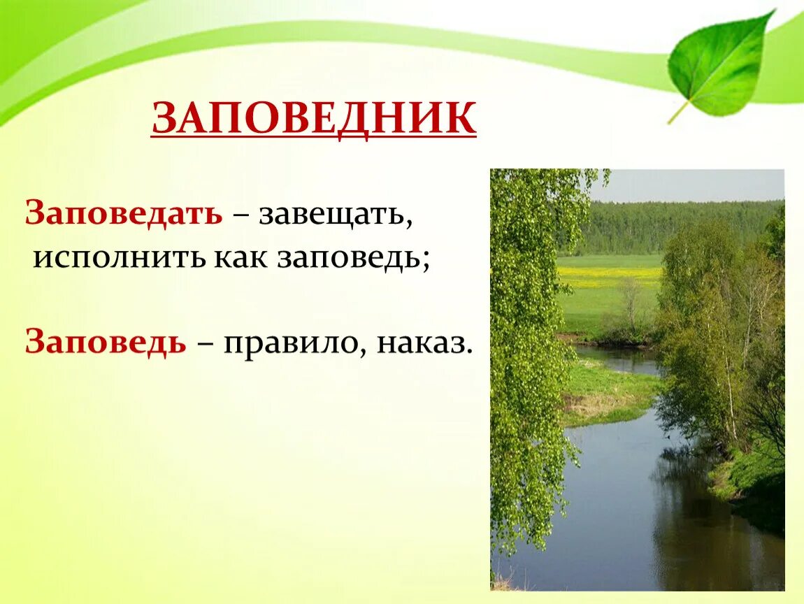 Заповедники кратко детям. Заповедник. Заповедник это 3 класс окружающий мир. Что такое заповедник кратко. Заповедник это кратко для детей.