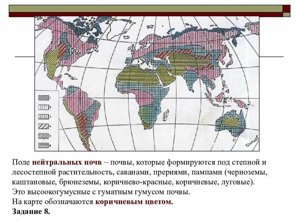 Какая природная зона самая плодородная почва чернозем. Распределение почв. Карта почв.